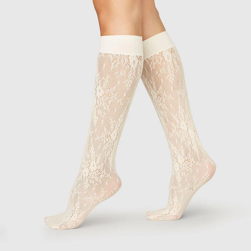 Rosa Lace Knee-Highs Ivory